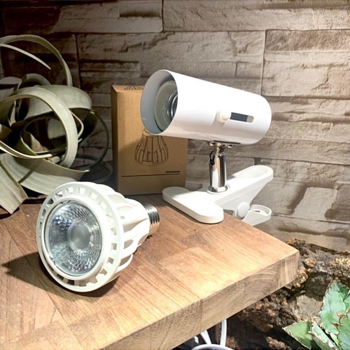 アウトレット 植物育成ライト 10W 5800K 6個 黒色1109 HaruDesign 植物